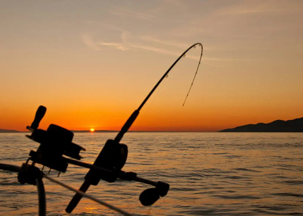 Exploring the Benefits of Outdoor Recreation: How Activities like Fishing Enhance Mental and Physical Well-being